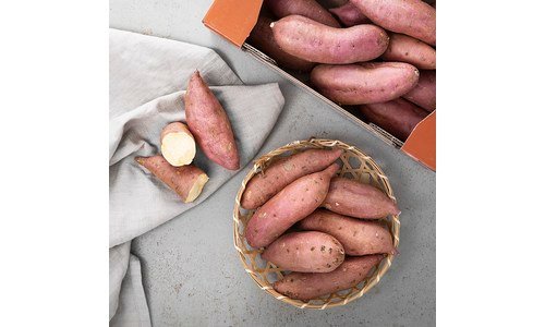 호박고구마 최고의 내 시간을 아껴주는 상품 비교분석추천