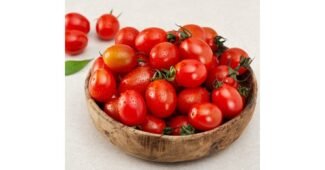 스테비아방울토마토 가성비 끝판왕 마음에 드는 구매포인트