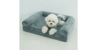 강아지침대 백화점에서 난리난 마음에 드는 구매하자