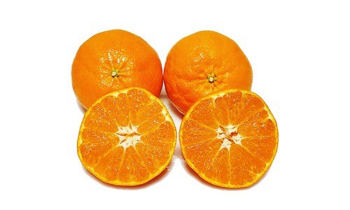 레드향 지금이 최고의 타이밍! 순위 구매포인트