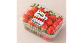 딸기 공공연한 비밀! 인플러언서들이 먼저 찾는 상품 빈틈없는비교