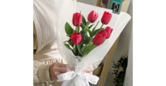 튤립꽃다발 가성비 신뢰가 쌓이는 한눈에 보기