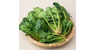 시금치 알찬정보 내 시간을 아껴주는 상품 비교분석추천