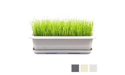 메가박스 반드시 체크해 보세요!! 개이득상품 우쭈쭈! 우쭈쭈!