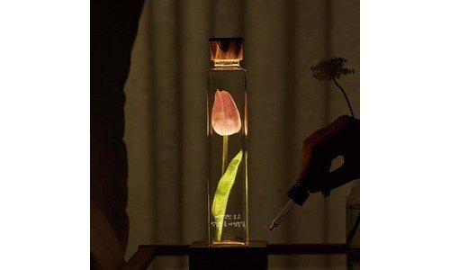 튤립 나만 모르고 있는 비교 우쭈쭈! 우쭈쭈!