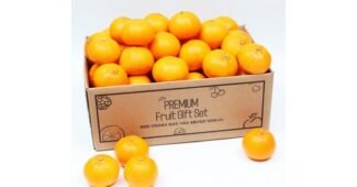 천혜향5kg 연예인들이 먼저 찾는 마음에 쏙드는 상품 TOP9