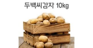 씨감자 최고의 보물같은 상품 적극추천