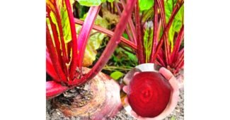 비트 망설일수록 나만 손해인 사용자추천 상품 고르는법