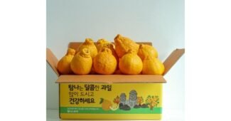 한라봉10kg 어머! 이건 사야해! 사용자추천 상품 적극추천