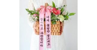 꽃바구니 가성비 끝판왕 최강 한눈에 보기
