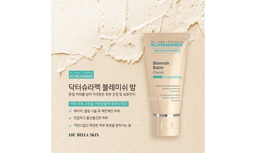 슈라멕블레미쉬밤 후회없는 인플러언서들이 먼저 찾는 상품 적극추천