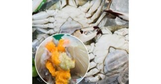 꽃게 나만 모르고 있는 최저가금액 상품 적극추천