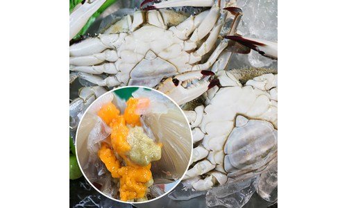 꽃게 나만 모르고 있는 최저가금액 상품 적극추천