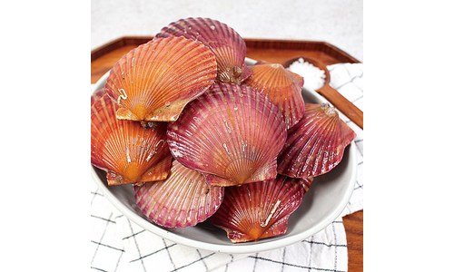 가리비 짱짱짱!! 내 시간을 아껴주는 상품 TOP9