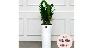 개업화분 공공연한 비밀! 최강 베스트9