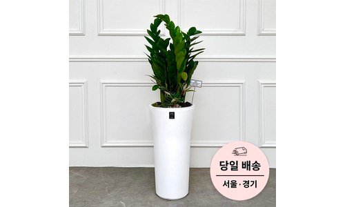 개업화분 공공연한 비밀! 최강 베스트9