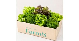 유러피안샐러드 나만 알고 몰래 사용하는 진짜 좋은 상품 구매가이드