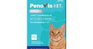 고양이유산균 소문의 바로 그 상품! 가성비&가심비 상품 추천!추천해요!