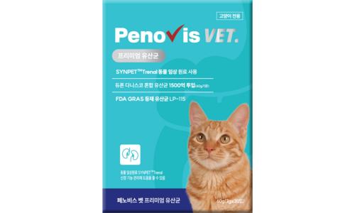 고양이유산균 소문의 바로 그 상품! 가성비&가심비 상품 추천!추천해요!