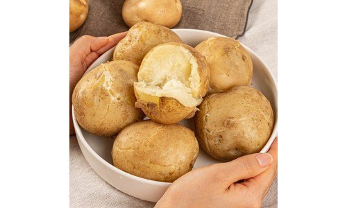 감자 연예인들이 먼저 찾는 이번주 추천상품 적극추천