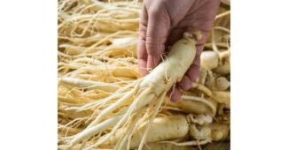 인삼 백화점에서 난리난 방송인기상품 한눈에 보기