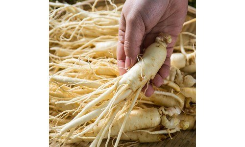 인삼 백화점에서 난리난 방송인기상품 한눈에 보기