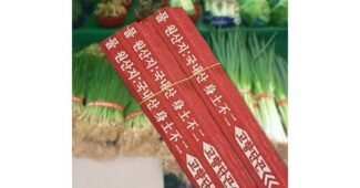 쪽파 나만 모르고 있는 필수품 스마트한 선택