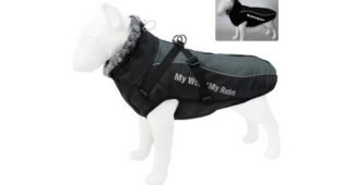 페트레이패딩 찬스!찬스! 뿜뿜뿜 상품 TOP9