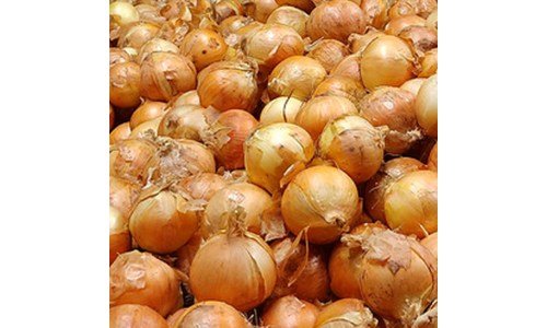 양파 기회가 있을 때 쟁겨놀 필수보유득템 BEST9