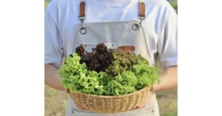 유러피안채소1kg 홈쇼핑 품절대란! 사용자추천 상품 구매포인트