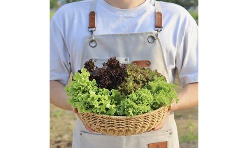 유러피안채소1kg 홈쇼핑 품절대란! 사용자추천 상품 구매포인트