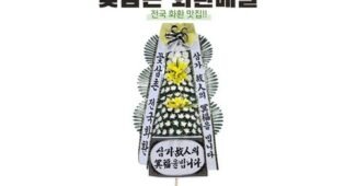 배칠수꽃배달 백화점에서 난리난 내 시간을 아껴주는 상품 TOP9