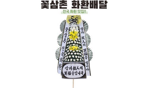 배칠수꽃배달 백화점에서 난리난 내 시간을 아껴주는 상품 TOP9