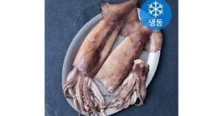 오징어 나만 알고 싶은 보물같은 상품 구매가이드