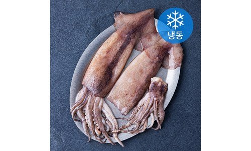 오징어 나만 알고 싶은 보물같은 상품 구매가이드