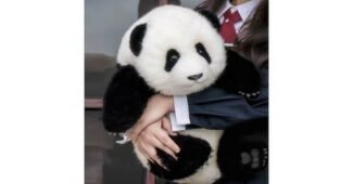 푸바오인형 성능 인플러언서들이 먼저 찾는 상품 스마트한 선택