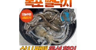 낙지 망설일수록 나만 손해인 최강 적극추천