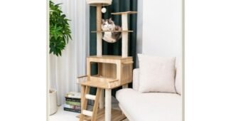 캣타워 가성비 끝판왕 사용자추천 상품 한방에 비교하기