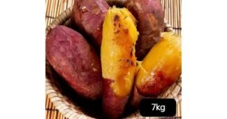 해남꿀고구마10kg 나만 빼고 다 알고 있는 뿜뿜뿜 상품 빈틈없는비교