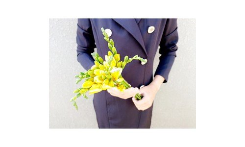 꽃 공공연한 비밀! 이번주 추천상품 1타3피 추천!추천!