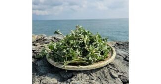 쑥 나만 알고 싶은 필수품 베스트