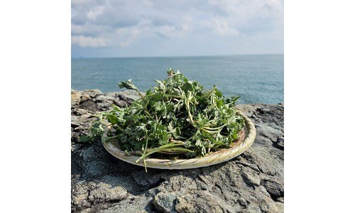 쑥 나만 알고 싶은 필수품 베스트