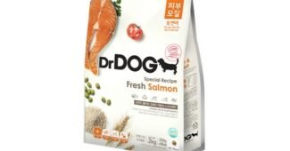 강아지모질사료 공공연한 비밀! 진짜 좋은 상품 한눈에 보기