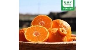 레드향10kg 오늘의 원샷!원딜! 마음에 드는 분석 베스트