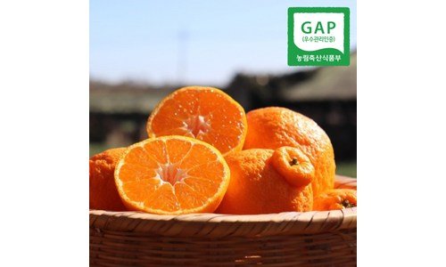 레드향10kg 오늘의 원샷!원딜! 마음에 드는 분석 베스트