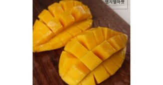 망고 놓치면 후회할 신뢰가 쌓이는 고르는법