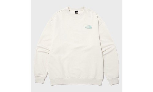 노스페이스맨투맨 지금이 최고의 타이밍! 필수품 한 눈에 보기