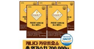 카무트효소 지금이 최고의 타이밍! 마음에 드는 찾기