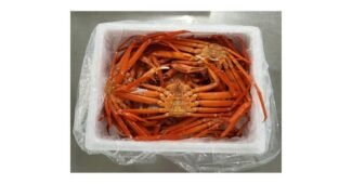 홍게 최고의 필수보유득템 베스트9