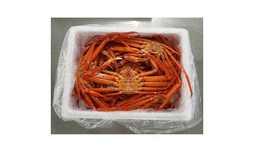 홍게 최고의 필수보유득템 베스트9